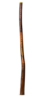 Trevor and Olivia Peckham Didgeridoo (TP118)
